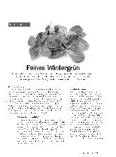 Vorschauseite 1: Feines Wintergrün