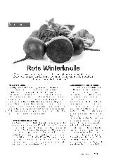 Vorschauseite 1: Rote Winterknolle