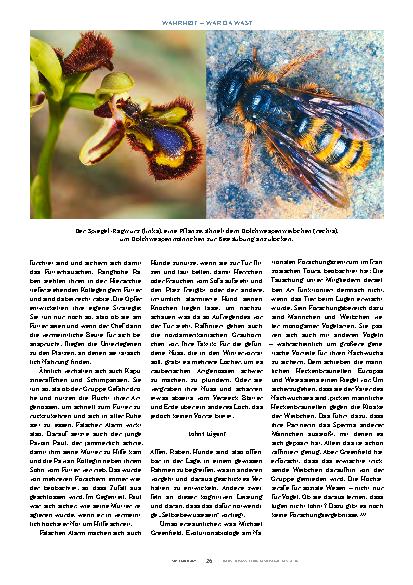 Vorschauseite 3: Wenn Tiere täuschen