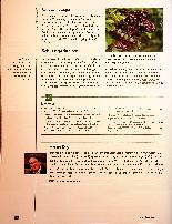 Vorschauseite 4: Mit einem Schnupfen fing alles an. Die akute und chronische Rhinosinusitis ist ein hartnäckiges Leiden der (Kopf-)Schleimhäute.