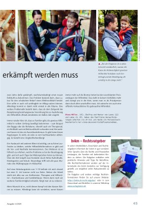 Vorschauseite 2: Wenn jede Rampe erkämpft werden muss Zwischen Bürokratie und Überlastung