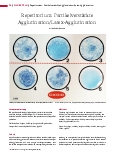 Vorschauseite 1: Repetitorium: Partikelverstärkte Agglutination/Latex-Agglutination