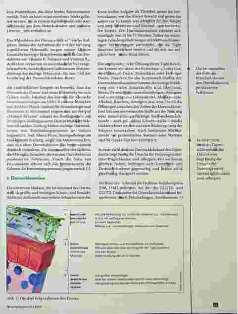 Vorschauseite 2: Gesundheitszentrale Darm - Pankreasschwäche und Gallensäureverlust-Syndrom