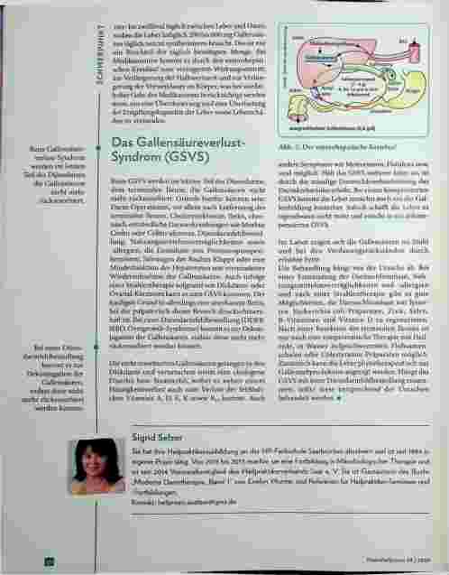 Vorschauseite 5: Gesundheitszentrale Darm - Pankreasschwäche und Gallensäureverlust-Syndrom