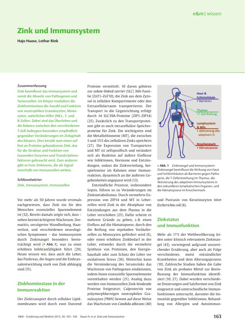 Vorschauseite 1: Zink und Immunsystem