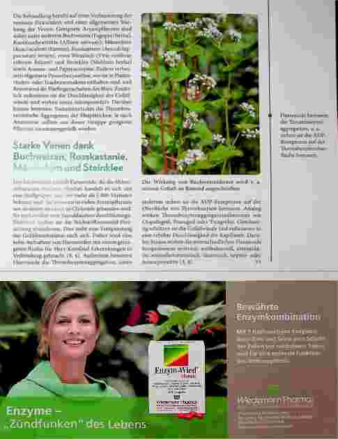 Vorschauseite 2: Thromboseprophylaxe mit Phytotherapie