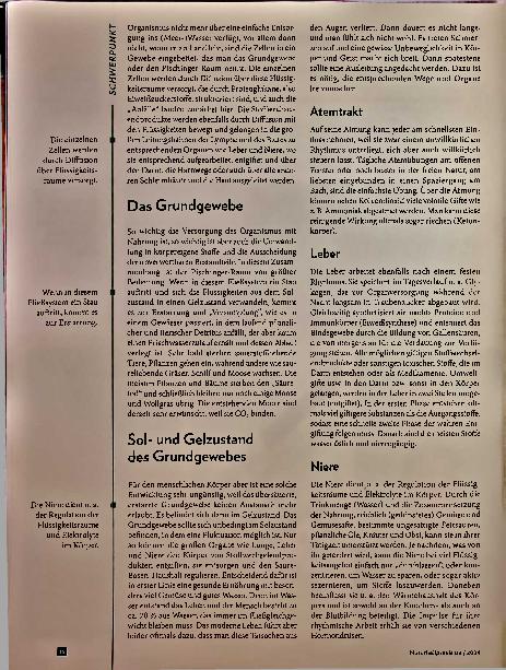 Vorschauseite 3: Ausleitung Weg zurück in die Rhythmik des Lebens