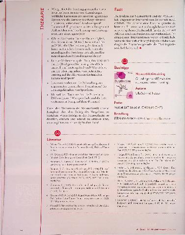 Vorschauseite 4: Neuroathletik: Versuch einer physiotherapeutischen Einordnung