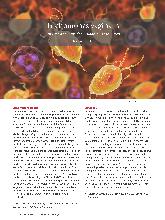 Vorschauseite 1: Trichomonas vaginalis: Ein Protozoon aus der Gruppe der Flagellaten.