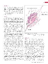 Vorschauseite 2: Trichomonas vaginalis: Ein Protozoon aus der Gruppe der Flagellaten.