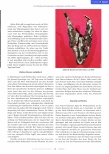Vorschauseite 4: Mittwinter und Rauhnächte