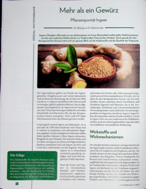 Vorschauseite 1: Mehr als ein Gewürz Pflanzenporträt Ingwer