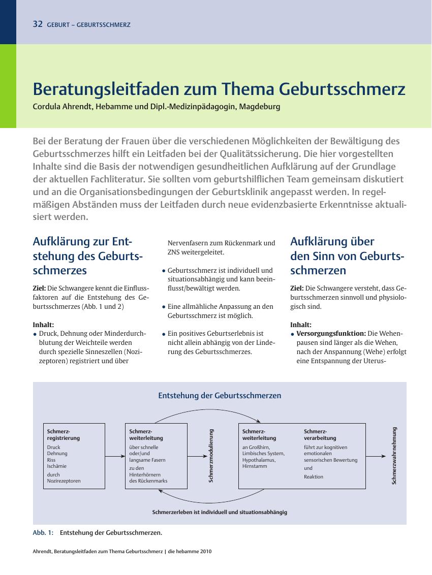 Vorschauseite 1: Beratungsleitfaden zum Thema Geburtsschmerz