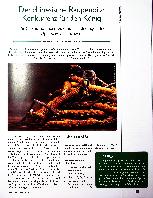 Vorschauseite 1: Der chinesische Raupenpilz: Konkurrenz für den König. Die beeindruckenden Gesundheitswirkungen des Ophiocordyceps sinensis.