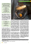 Vorschauseite 4: Die Erde, die Mitte, der Mensch und die Ordnung der Welt ... oder: Warum können wir heute so vieles nicht verdauen?