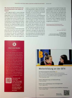 Vorschauseite 6: Kaiserschnitt in der Schweiz: Medizin, Gesellschaft und Bedürfnisse der Familien