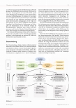 Vorschauseite 3: Eine Frage des Vertrauens: Grounded Theory-Studie zum Alltagserleben HIV-positiver und an AIDS erkrankter Menschen