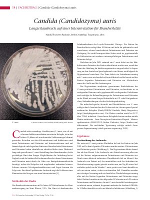 Vorschauseite 1: Candida (Candidozyma) auris Langzeitausbruch auf einer Intensivstation für Brandverletzte