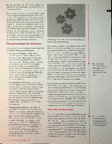 Vorschauseite 2: Mit allen Winden segeln Zeitenwende in der muskuloskelettalen Schmerztherapie