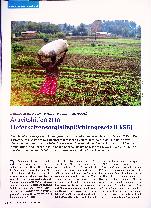 Vorschauseite 1: Arbeitshilfen zum Lieferkettensorgfaltspflichtengesetz (LkSG)