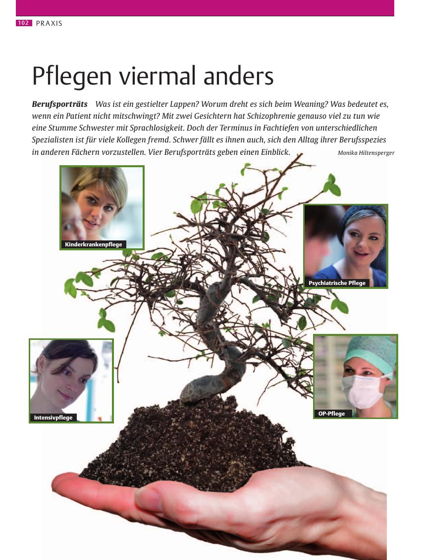 Vorschauseite 1: Pflegen viermal anders