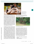 Vorschauseite 3: Partizipation: Förderung der Partizipation von Kindern und älteren Menschen in öffentlichen Parkanlagen - Welchen Einfluss hat die Umwelt?