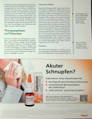 Vorschauseite 3: Osteoporös Die Knochen vor Abbau schützen