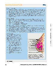 Vorschauseite 4: Exemplarische Umsetzung einer Arbeitsund Lernsituation im Kontext der Stillund Laktationsberatung