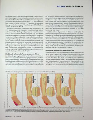 Vorschauseite 2: Diabetischer Fuß und die psychosozialen Folgen
