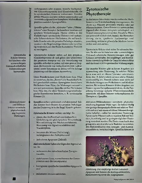 Vorschauseite 2: Große Medizin für große Krankheiten: Phytochemotherapie