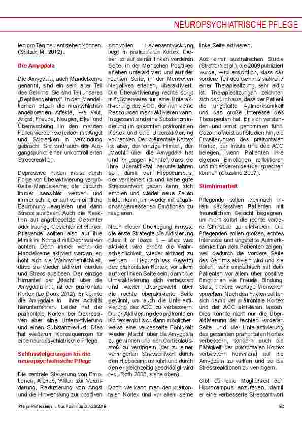 Vorschauseite 4: Neuropsychiatrische Pflege