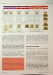 Vorschauseite 3: Das generalistisch ausgerichtete Curriculum im KraniCH-Projekt.