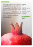 Vorschauseite 3: Granatapfel als Grundlage tibetischer Rezepturen