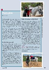 Vorschauseite 1: Pferdeglück