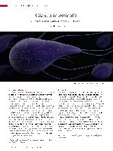 Vorschauseite 1: Giardia intestinalis: Ein Protozoon aus der Gruppe der Flagellaten.