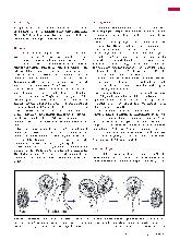 Vorschauseite 2: Giardia intestinalis: Ein Protozoon aus der Gruppe der Flagellaten.