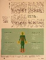 Vorschauseite 2: Sympathikus-Therapie: Den vegetativen Leistungsnerv beruhigen.
