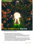 Vorschauseite 1: Das Bakterium Marine