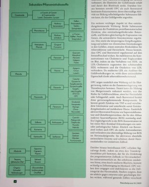 Vorschauseite 3: Herzensangelegenheit Das therapeutische Potenzial von Resveratrol und OPC für die Herz-Kreislauf-Gesundheit