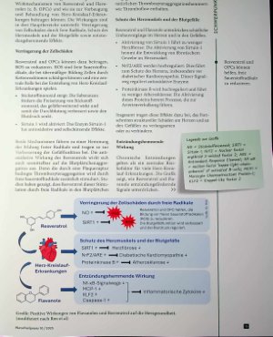 Vorschauseite 4: Herzensangelegenheit Das therapeutische Potenzial von Resveratrol und OPC für die Herz-Kreislauf-Gesundheit
