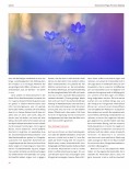 Vorschauseite 3: Die Essenz der Meditation: Neurowissenschaftliche und philosophische Grundlagen des Yoga, Teil 2.2