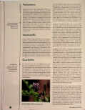 Vorschauseite 2: Die Süßholzwurzel - Liquiritiae radix