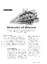 Vorschauseite 1: Wintersalat mit Bitternote