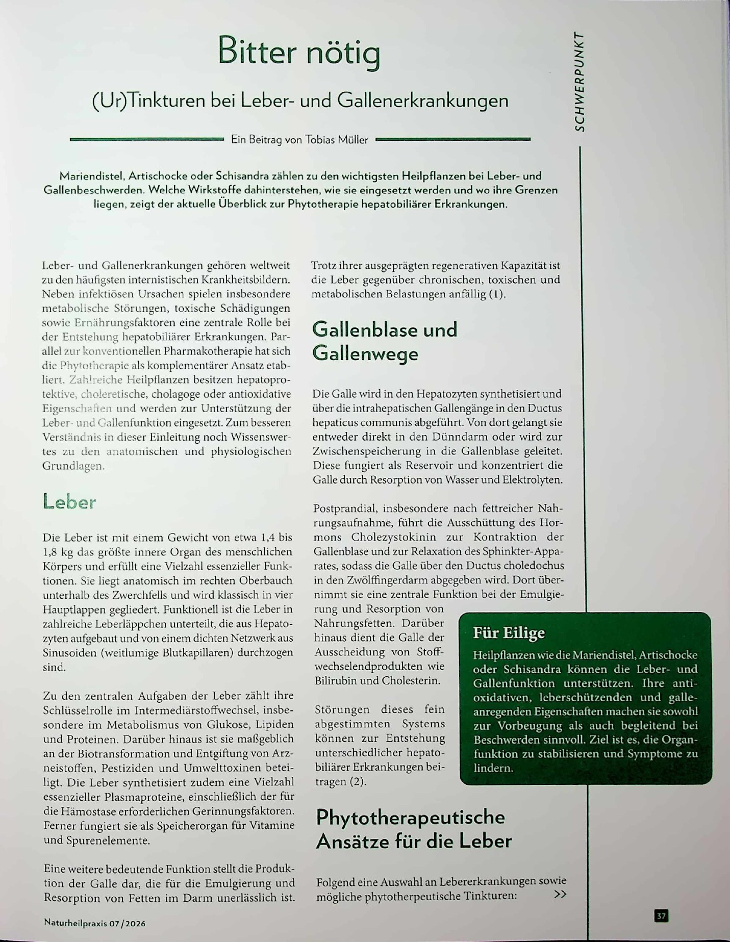 Vorschauseite 1: Bitter nötig. (Ur)Tinkturen bei Leber- und Gallenerkrankungen.