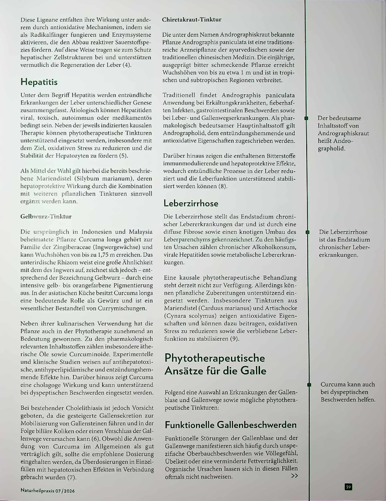 Vorschauseite 3: Bitter nötig. (Ur)Tinkturen bei Leber- und Gallenerkrankungen.