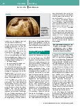 Vorschauseite 2: Intoxikationen im Erwachsenenund Kindesalter aus präklinischer Sicht