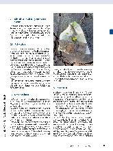 Vorschauseite 2: Die Trauer in die Natur tragen: Ein gartentherapeutisches Herangehen an Trauer und Verlust - aber auch an das Wagnis, neu zu beginnen.