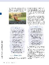 Vorschauseite 3: Die Trauer in die Natur tragen: Ein gartentherapeutisches Herangehen an Trauer und Verlust - aber auch an das Wagnis, neu zu beginnen.