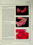 Vorschauseite 2: Vorreiter der Fleischhygiene