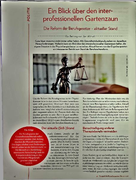 Vorschauseite 1: Ein Blick über den interprofessionellen Gartenzaun: Die Reform der Berufsgesetze - aktueller Stand